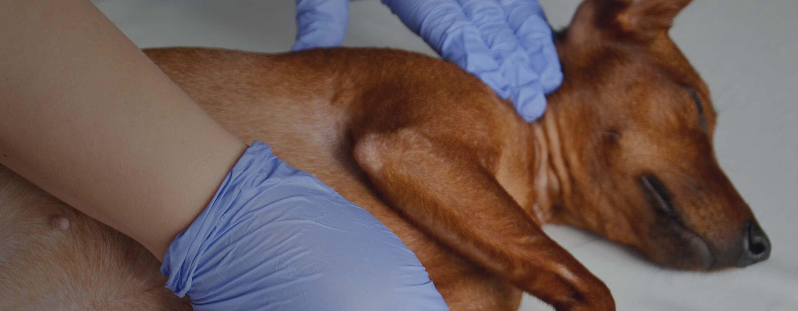 Sick and Urgent Care